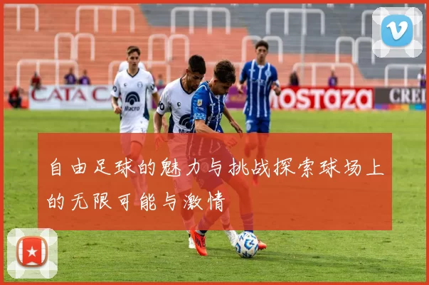 自由足球的魅力与挑战探索球场上的无限可能与激情