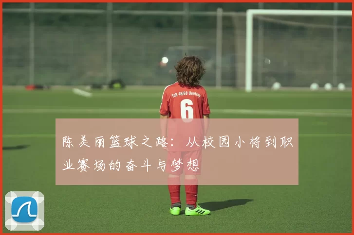 陈美丽篮球之路：从校园小将到职业赛场的奋斗与梦想